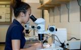 Woman Looking Through Microscope Woman Looking Through Microscope