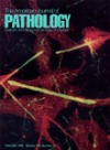 american journal of pathology cover