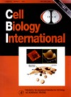 cell biology international cover