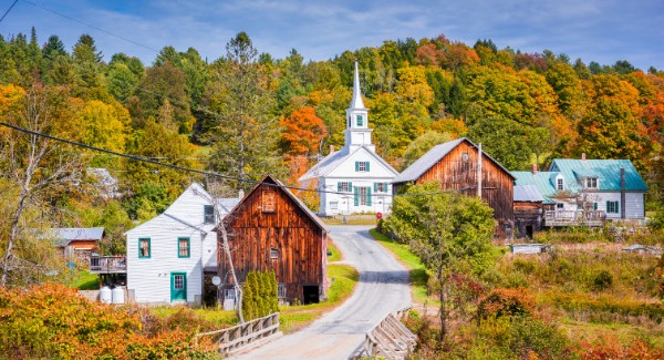 Fall foliage with bridge