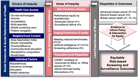 Conceptual Framework for Improving Equity in Screening and Surveillance