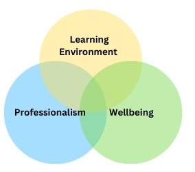 Venn diagram of three circles overlapping. Each circle has a different word- learning environment, professionalism and wellbeing.