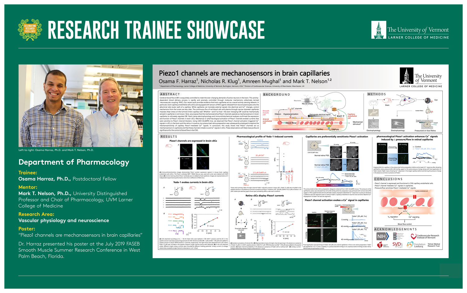 Research Trainee Showcase poster with graphics