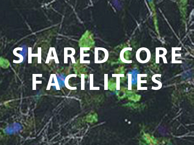 Shared Core Facilities