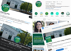collage of LCOM social media home pages