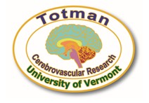 Totman Logo - Cerebrovascular Research Funding